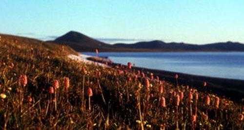 type:, atr:,, title:Озеро «нетающего льда» поведает о будущем планеты