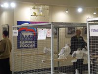 �������� ������ ��������