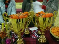 �������� ������ � ��������������� ������!