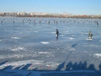 Ловись, рыбка…