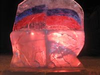 ������������: ������ ���� ������