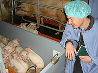 Кокшаров осмотрел новый свинокомплекс