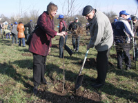 � ��������� ������ �������