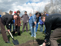 ��������� ��� ������� ������ ������