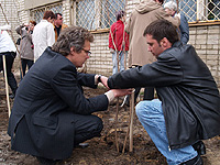 В Ярославле появился вишневый сад