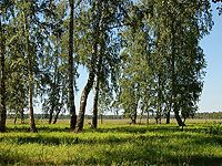 нание русского мира