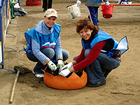 Пляж готов к открытию