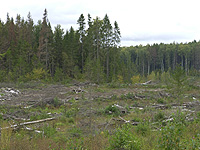 ������ ������ ���������