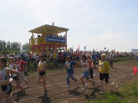 Единороссы Чувашии провели свою первую Спартакиаду