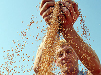 Медведев и аграрии обсудят вопросы развития села