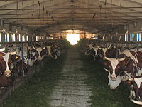 � �������� �������� ���