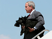 Новые бушизмы американского президента