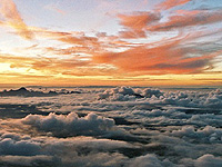 Захвачен самолет, следовавший из Антальи в Петербург