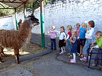 Интересное и познавательное