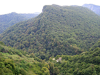 ООН разберется в причинах гибели российских военных инструкторов в Кодорском ущелье