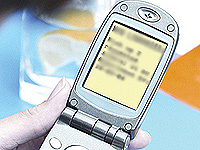 Мусульманам на Северном Кавказе будут напоминать о намазе через SMS