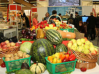 В Россию разрешили ввозить овощи и фрукты из Польши