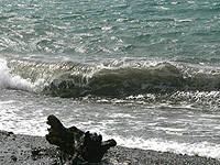 Россия и Литва вместе очистят Балтийское море