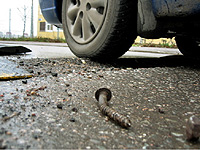 Ford начинает производство Mondeo в РФ