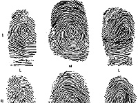 От пятилетних детей требуют отпечатки пальцев