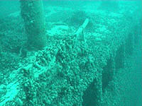 Россия и Финляндия будут решать судьбу Девы Марии несколько лет