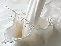 ����� ��������� ������ ������ �� �����