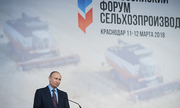 Фото: Сергей Гунеев/РИА Новости