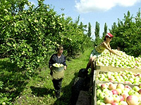 ����������� ��������� ���� 