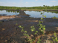 ���������� ������ ������ ��������� ���� ���������