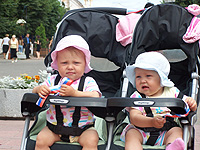 ����� ������ ������ ���������� � �����