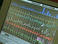 МВД Татарстана вводит обязательное обследование на