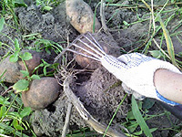 Студенты питерских вузов едут