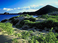 Развитие Дальнего Востока обсудил Шувалов с сенаторами