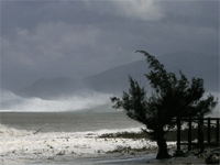 ������ � �������� ���� ����� �������� ������� ���