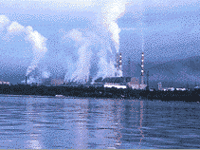 На Байкальском ЦБК началось сокращение работников