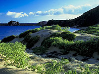 Сахалинские школы ждет большой ремонт