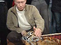 Путину подарили тигренка на День рождения