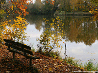 Православные отмечают Покров Богородицы