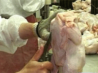 В РФ запретят ввоз мяса и молока с 20 предприятий Белоруссии