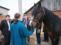 Тяжелая ноша владимирских тяжеловозов