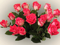 Путин подарил Набиуллиной букет роз