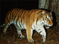  � ����� ���������� ���������������� �������� � ��������� ����� �� ������� ������� ��������� ��������������� ��������� �������� ������������ �������� 