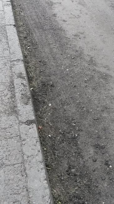 аня дороги1