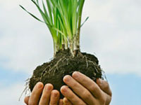 ��� ��������� ������� ��������� ��������� ���������� �������� ����� ����������������������� �����������