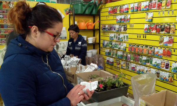 Фото: saratov.er.ru