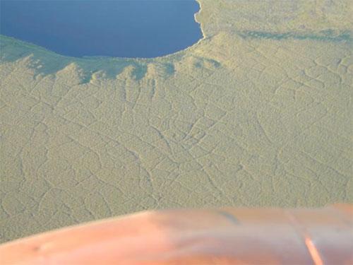 type:, atr:,, title:Озеро «нетающего льда» поведает о будущем планеты