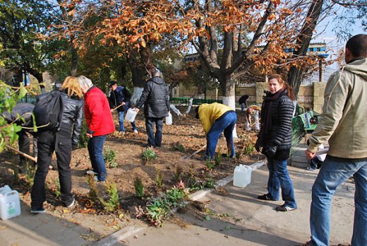 apicturepicture34677_62952