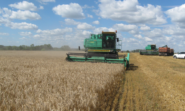 Фото: ryazan.er.ru