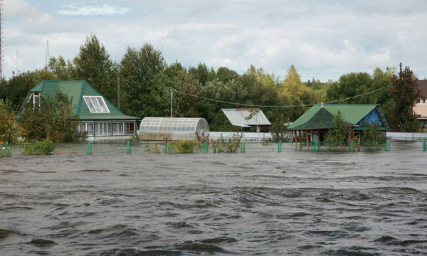 ����: ��� �������