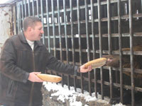 Черниговские Зеленые спасли медведя